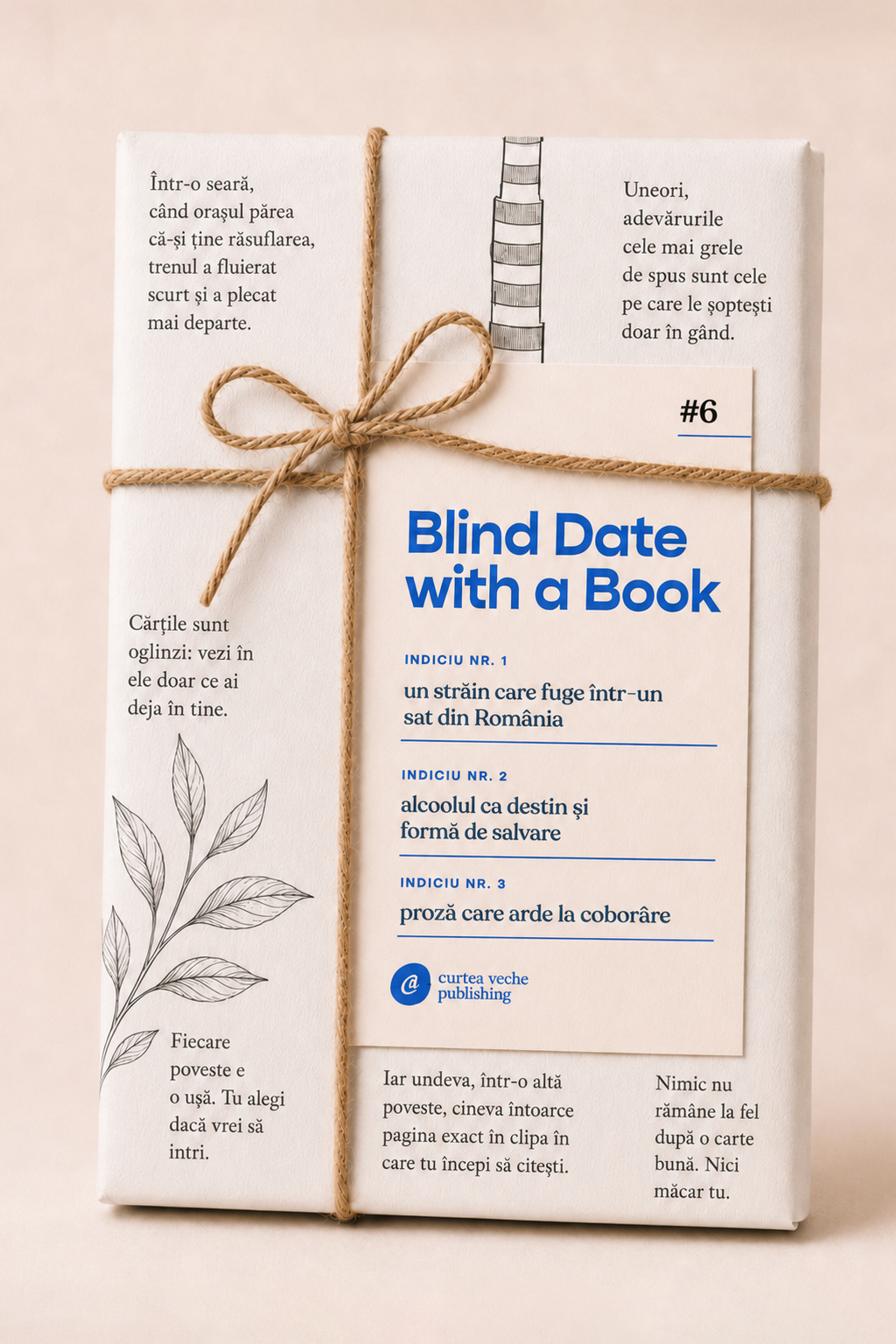 Blind Date with a Book #6